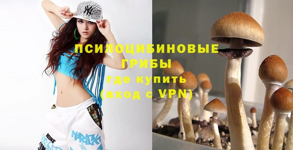 метадон Пересвет