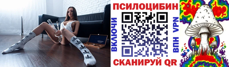 Псилоцибиновые грибы прущие грибы  Никольск 