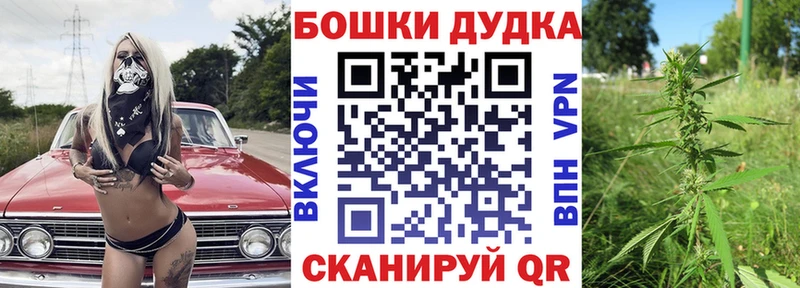Конопля планчик  мега зеркало  Никольск 